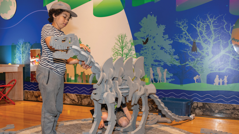 Un enfant construit un dinosaure, un sauropode, à partir de grands « os » en mousse.