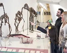 Young girl pointing at dinosaur skeleton