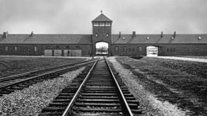 Image © Auschwitz-Birkenau Memorial and Museum.