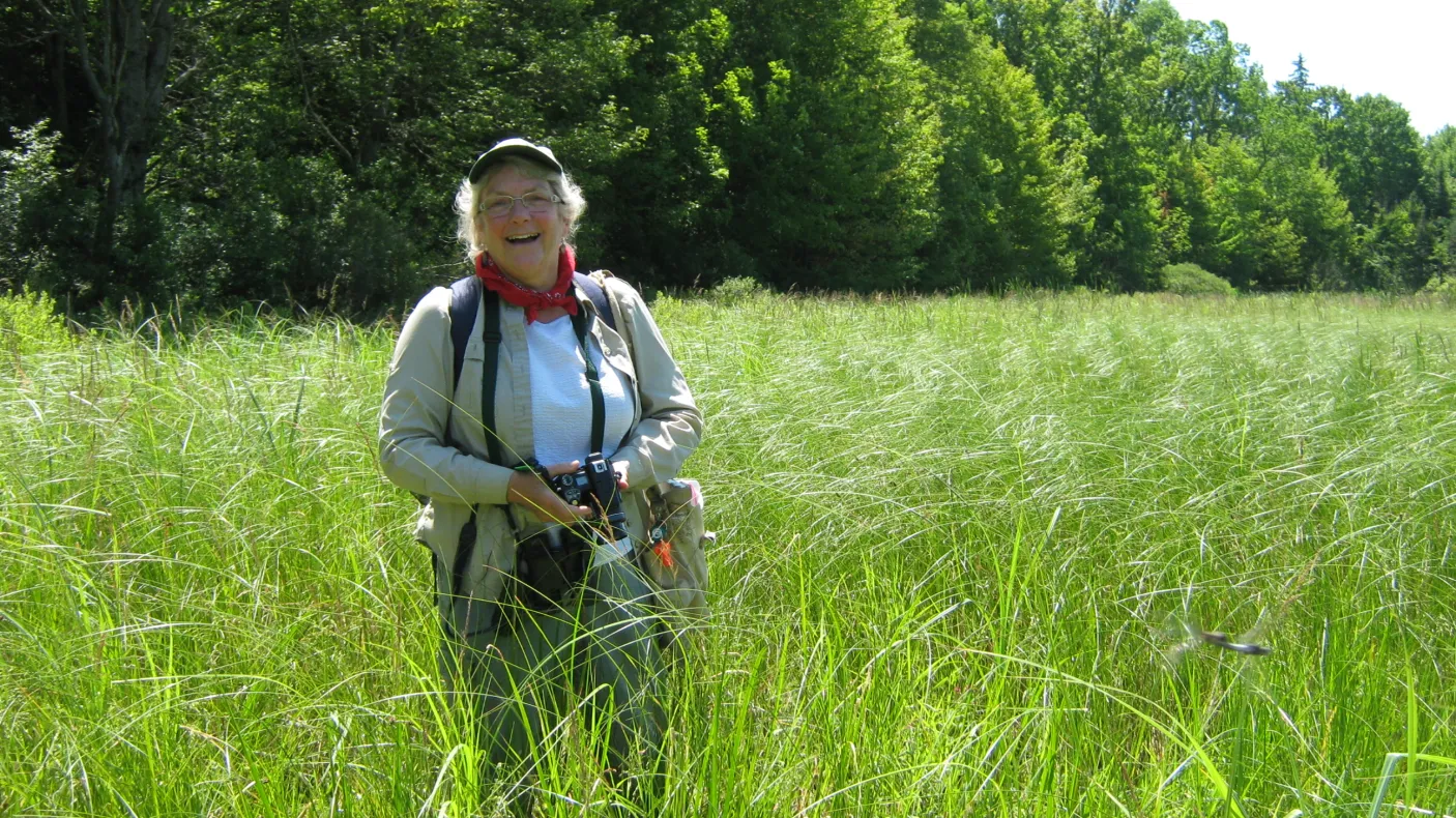 Photo of Flora in grass field
