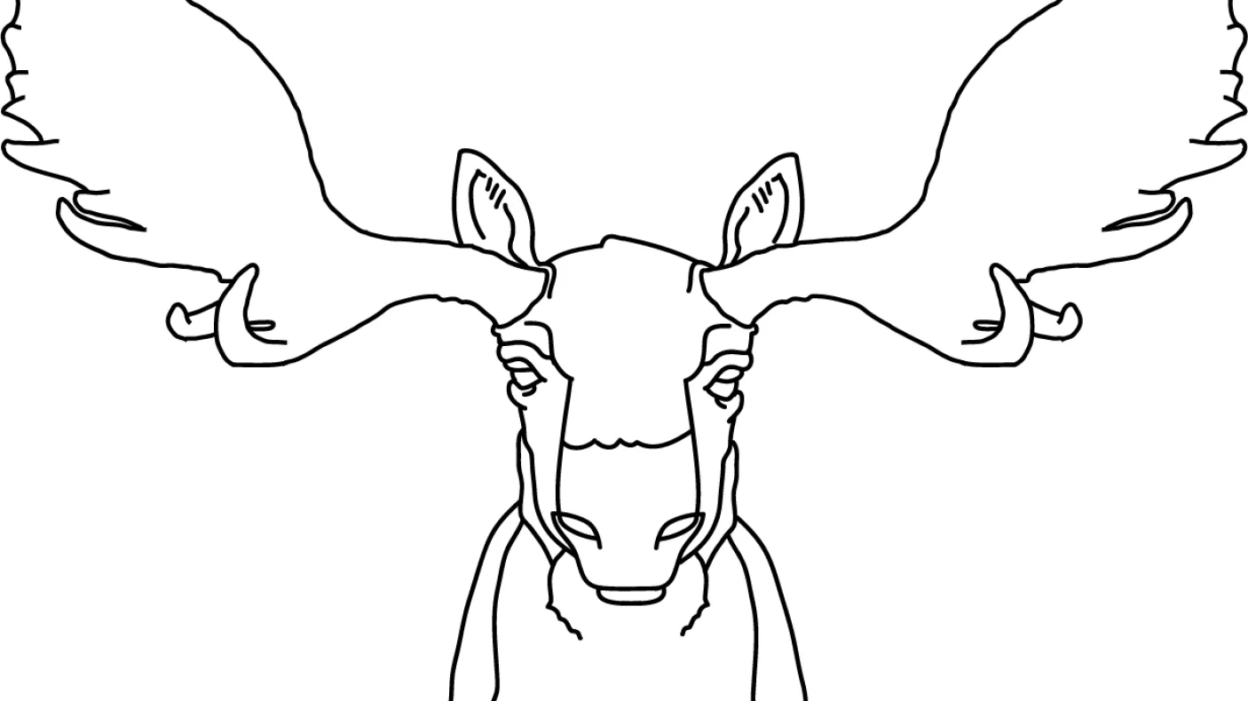 Outline of Moose
