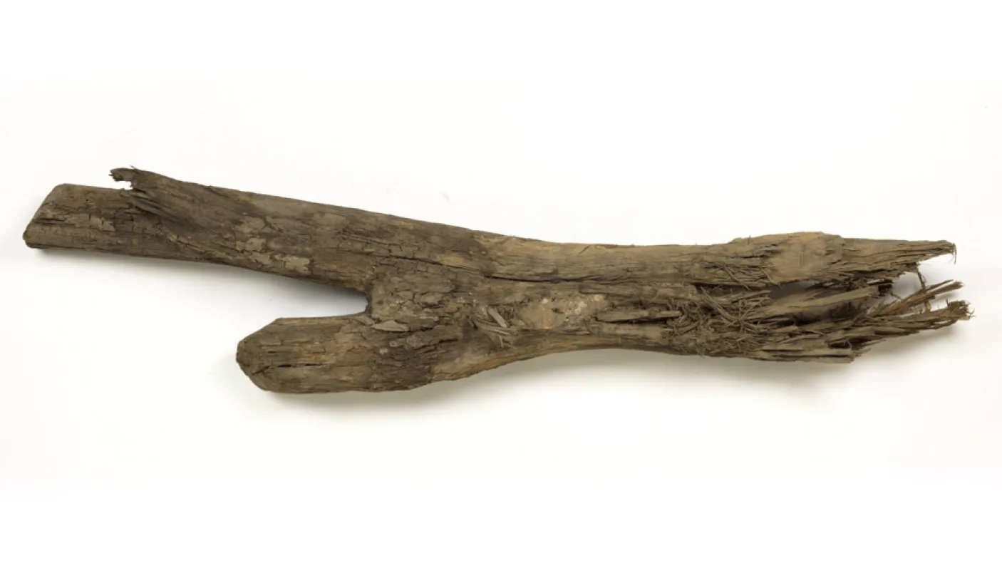 Piece of forked wood.