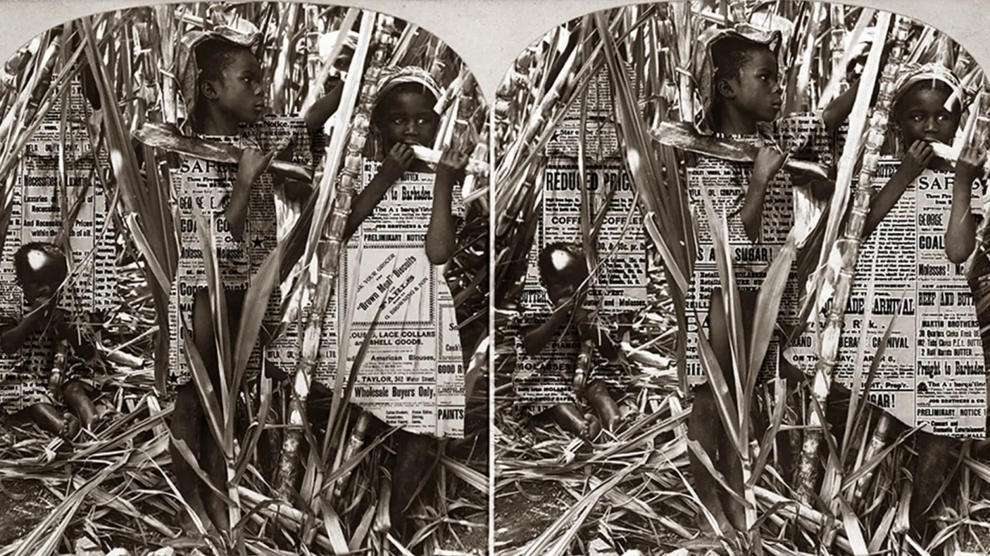 Photographie et texte d'archives imprimés sur un panneau de tissu rétroéclairé.
