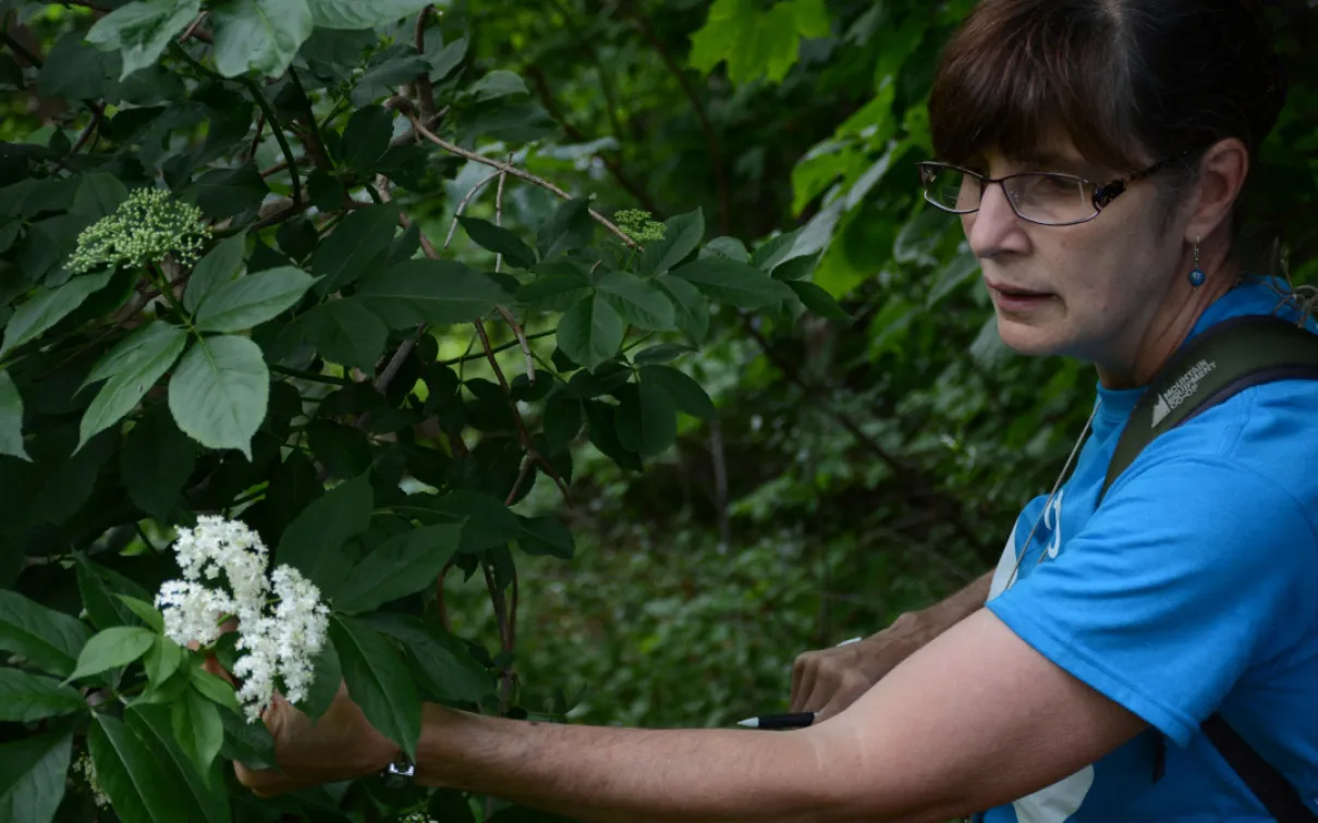 Deb Metsger sur le terrain.
