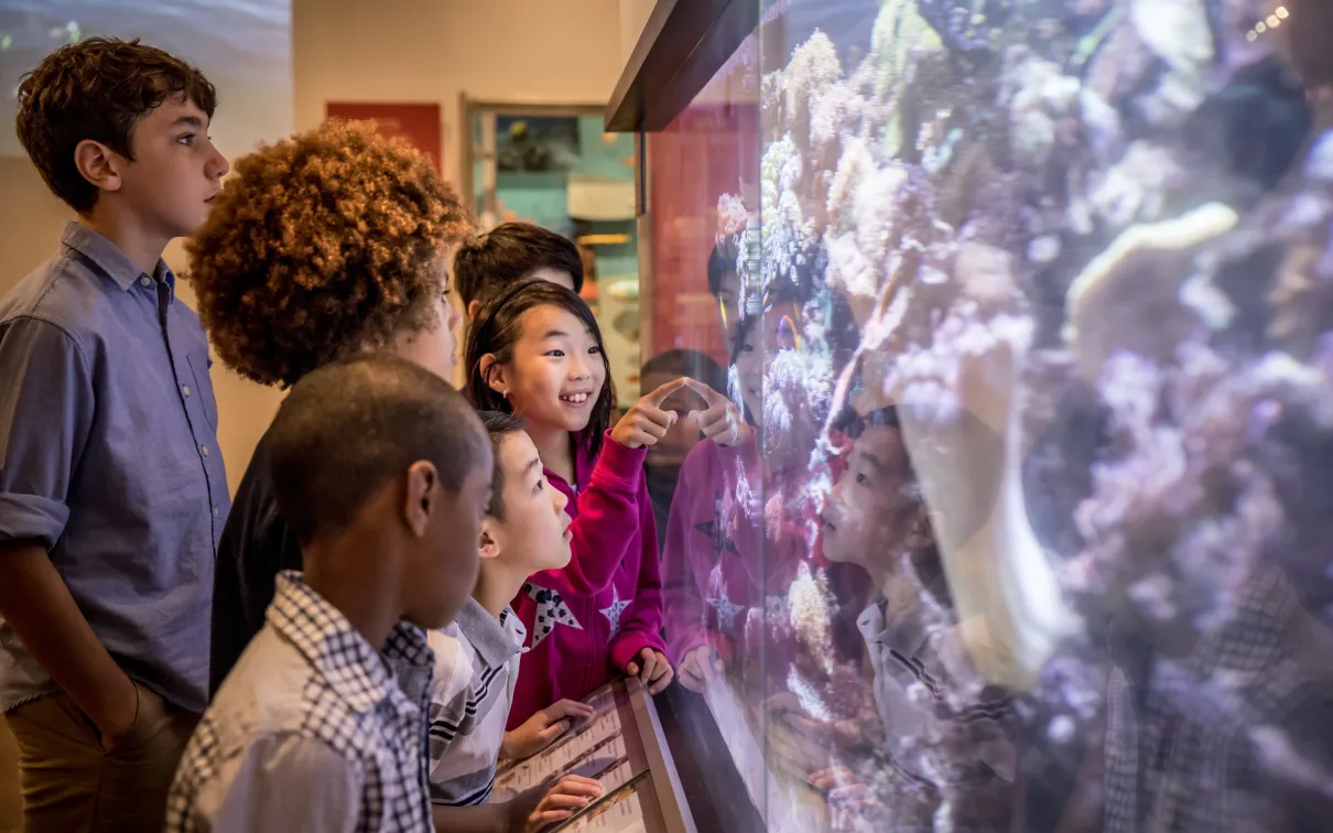 group of kids looking at an aquarium, one kid pointing inside the tank