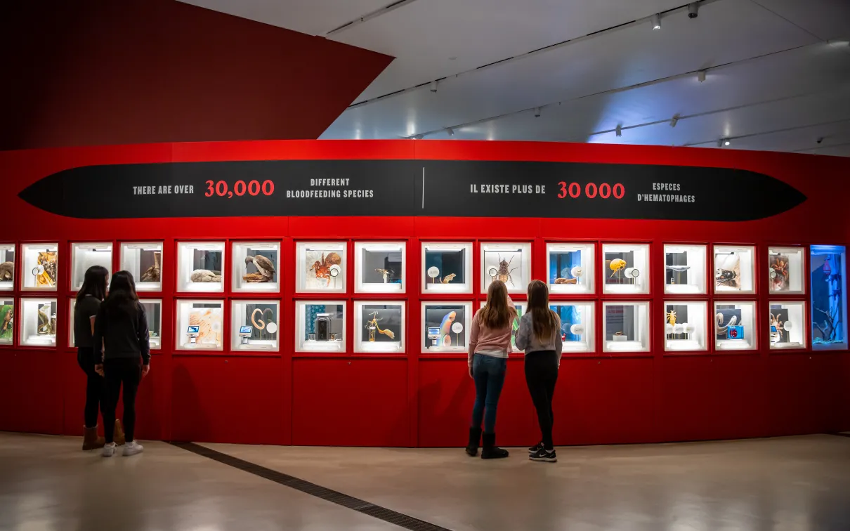 Visitors looking at a wall of different Bloodsucking species.