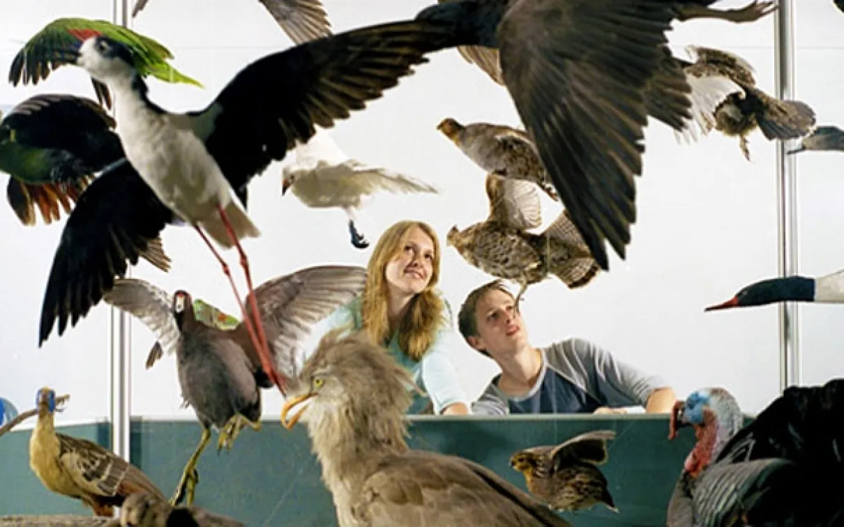 Walk around and under more than 100 specimens.
