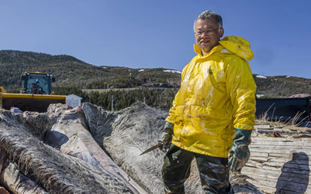 Researcher working onsite recovering the Blue Whale in Newfoundland