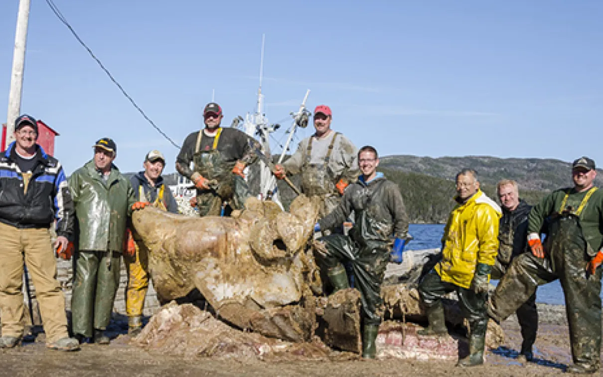 Team standing with the Blue Whale