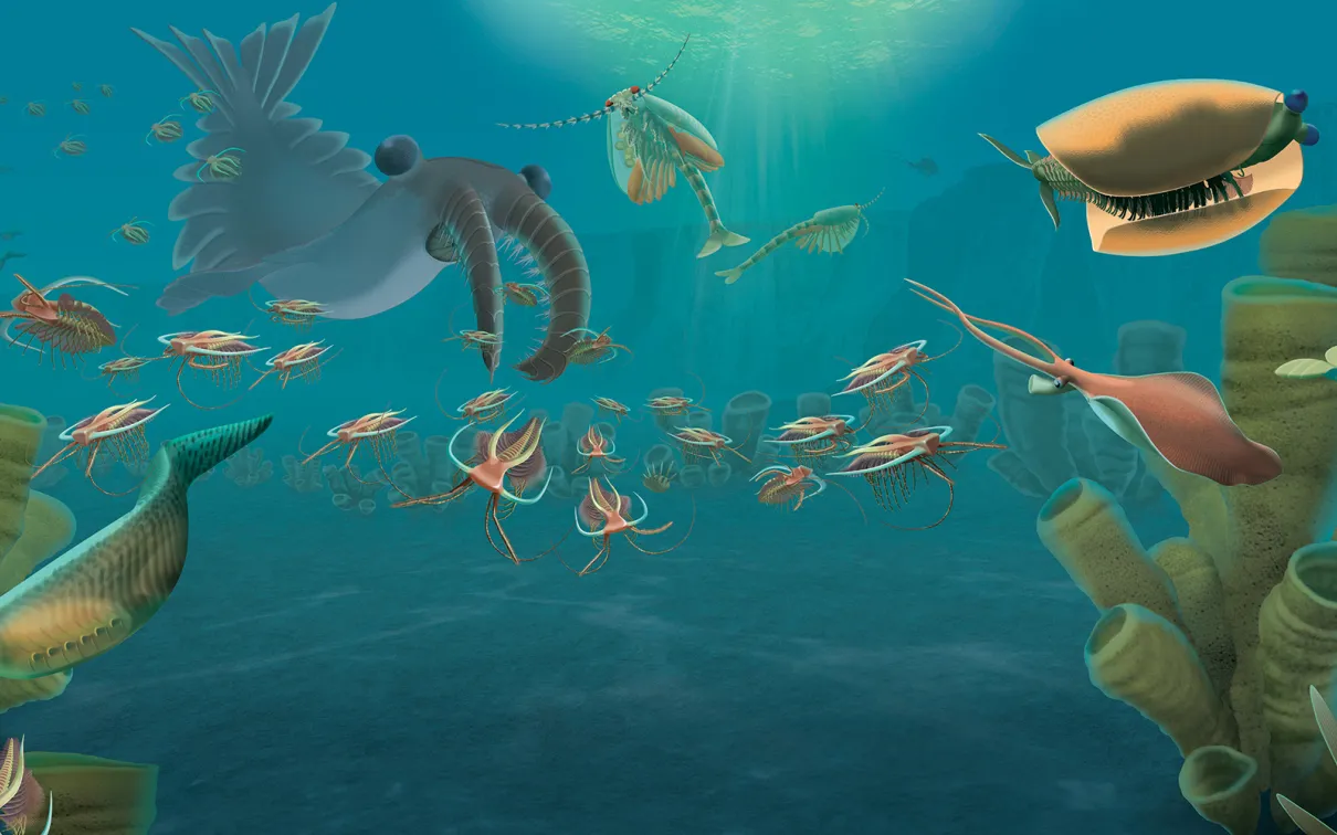 An artist's illustration of an ancient sea scape teeming with life.