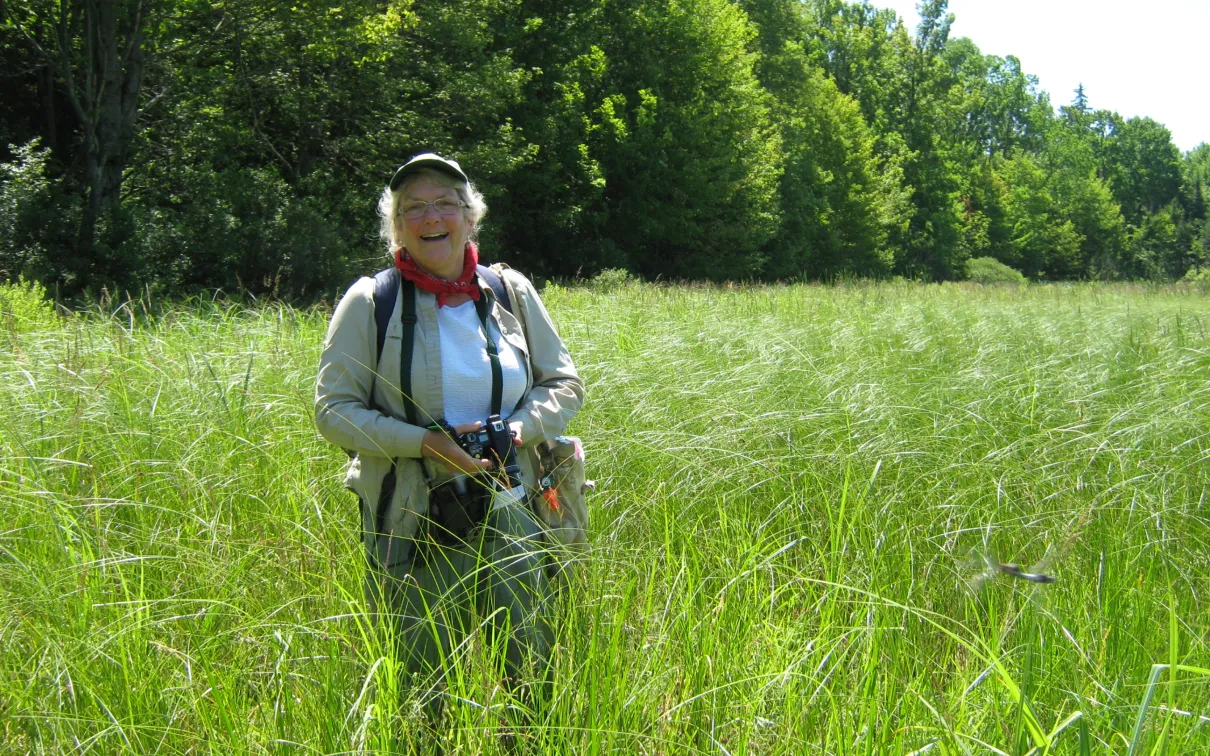 Photo of Flora in grass field
