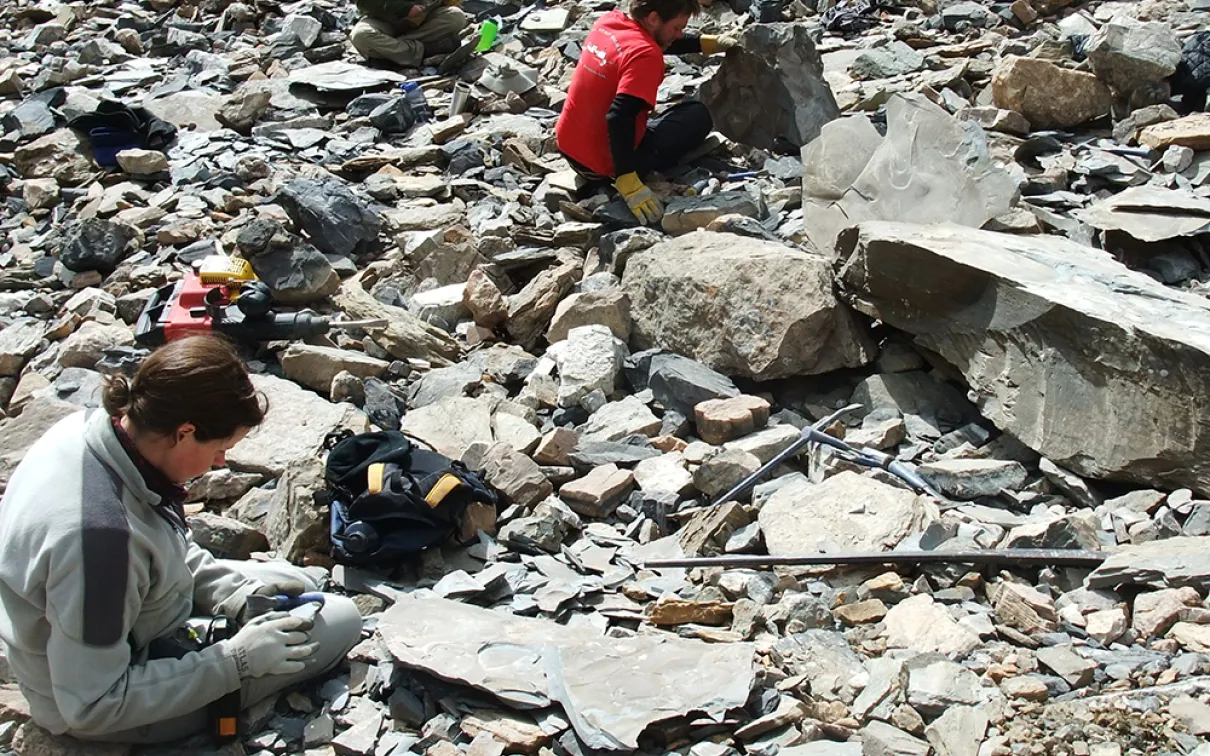 Crew during the ROM’s 2010 fieldwork season examining Burgess Shale type rocks which have tumbled down from the fossil bearing layers higher up on the mountain slopes.