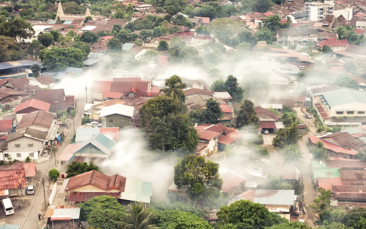 Brouillard anti-moustiques dans la campagne de Penang, Malaisie.