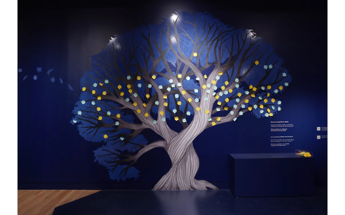 In-gallery image of exhibition