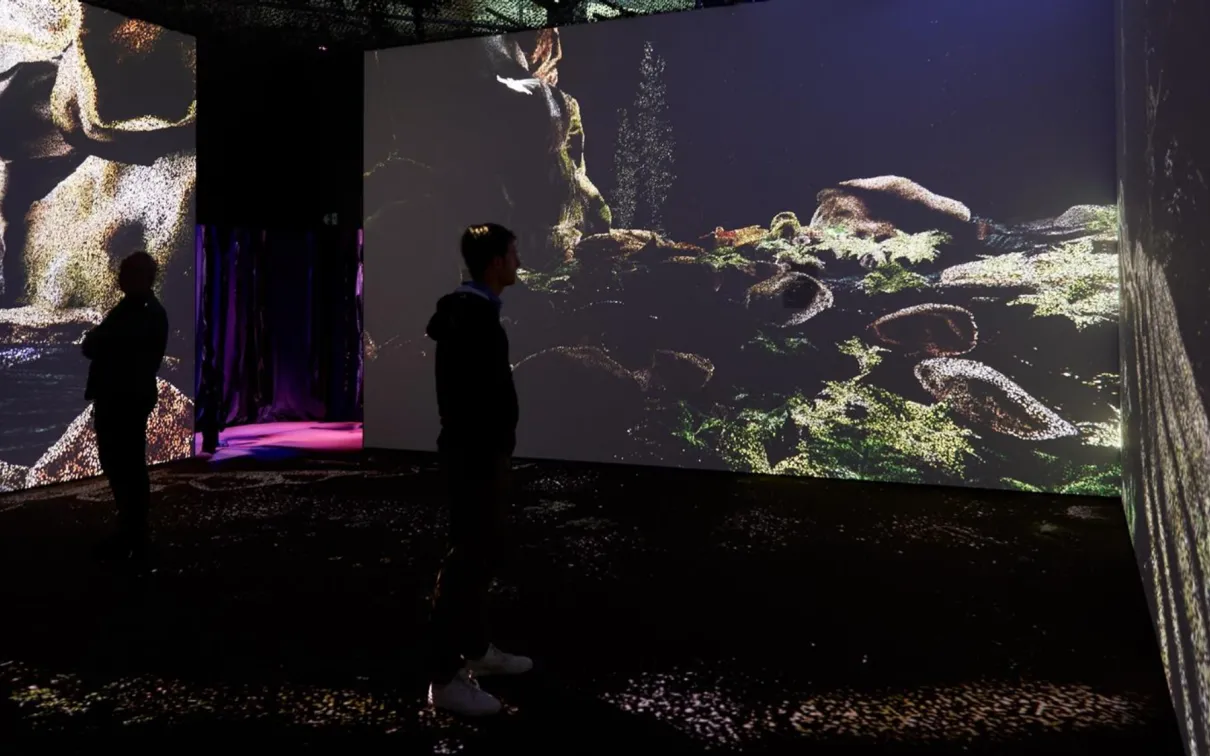 two people standing looking at a wall to ceiling screen
