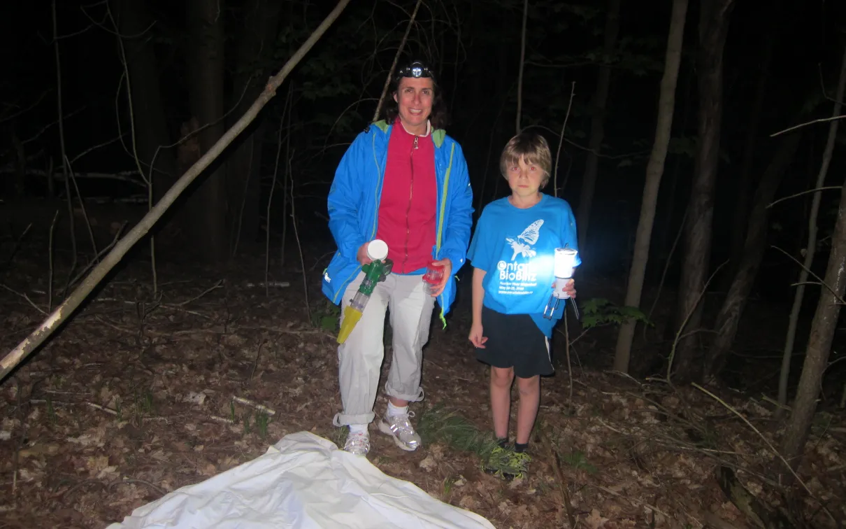 Piégeage nocturne au Bioblitz 2014 avec Colin
