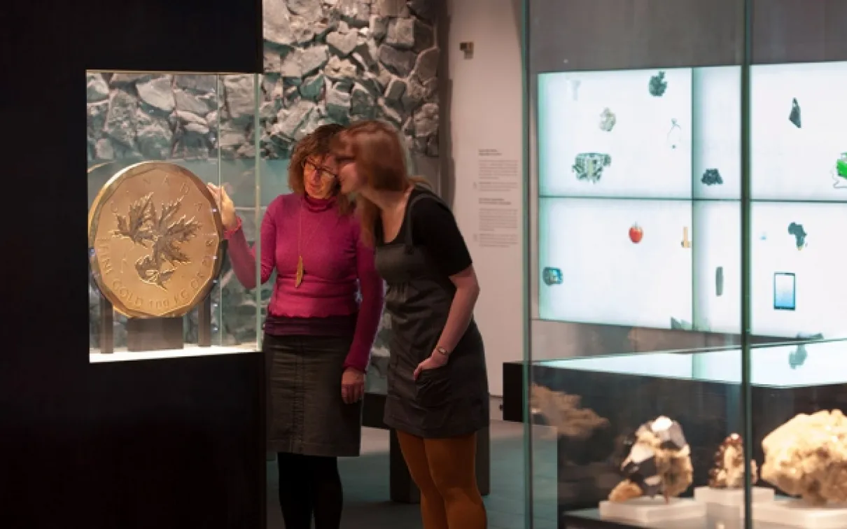 Teck Suite of Galleries: Earth's Treasures
