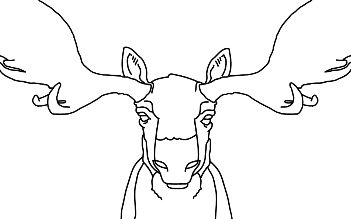 Outline of Moose
