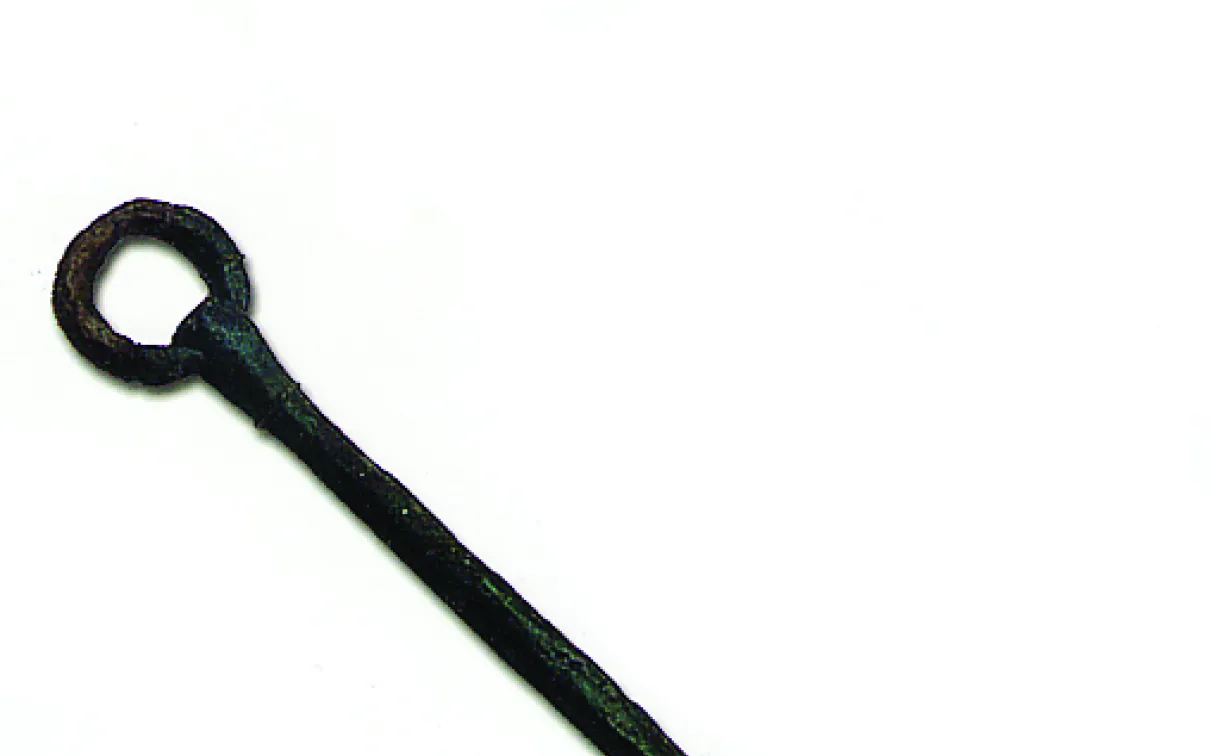 Viking cloak pin.