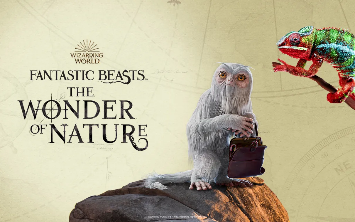 Fantastic Beasts with Demiguise + Camelon
