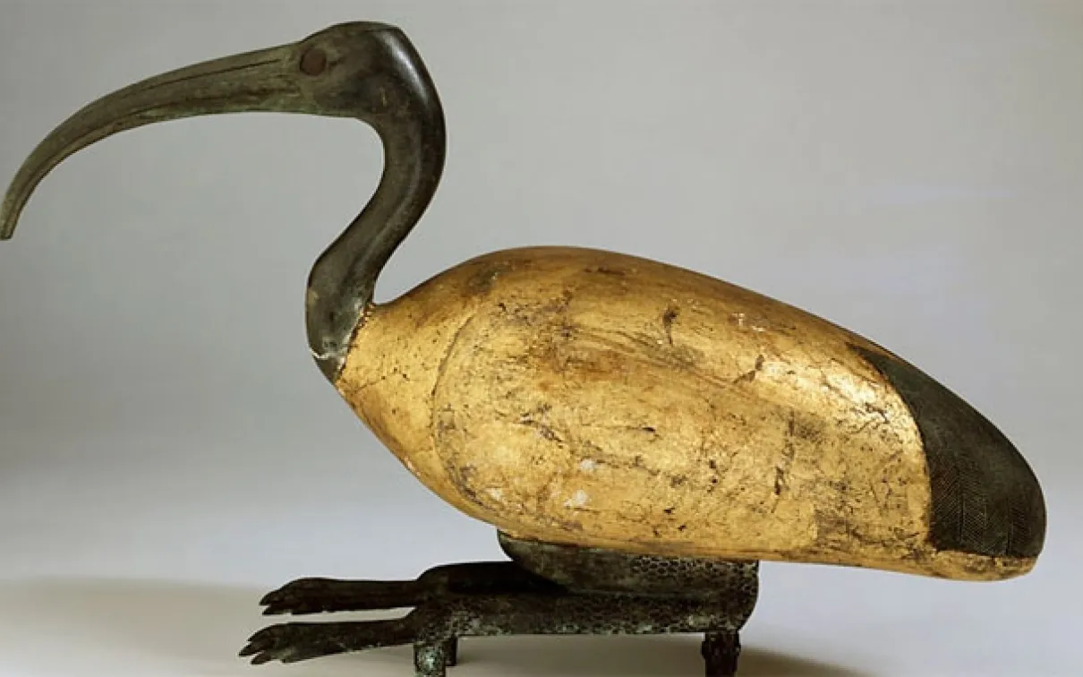 The importance of certain animals in Ancient Egyptian culture is represented by many artifacts, such as this ibis mummy.