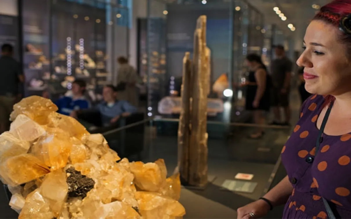 Teck Suite of Galleries: Earth's Treasures
