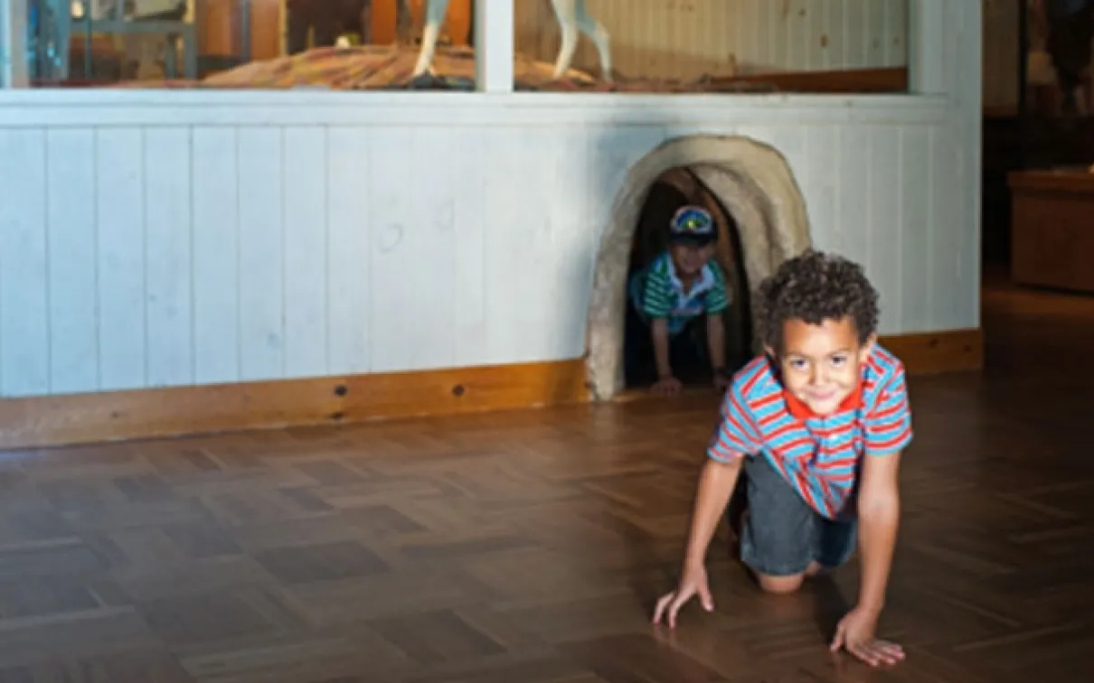 Scamper through the fox's den. Little ones can scamper in and through the fox's den, learning how this creature moves in its home environment.