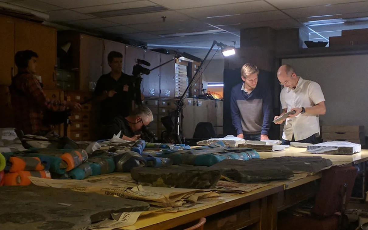 Group of people looking at a fossil