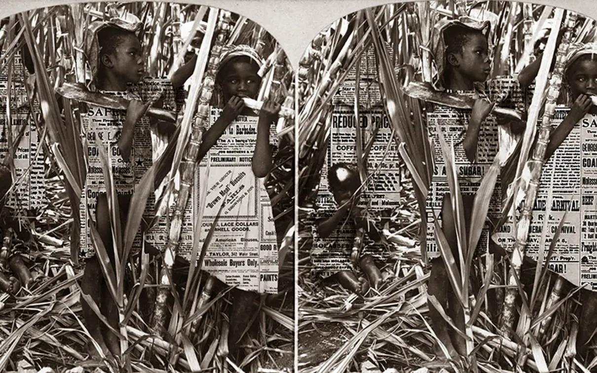 Photographie et texte d'archives imprimés sur un panneau de tissu rétroéclairé.
