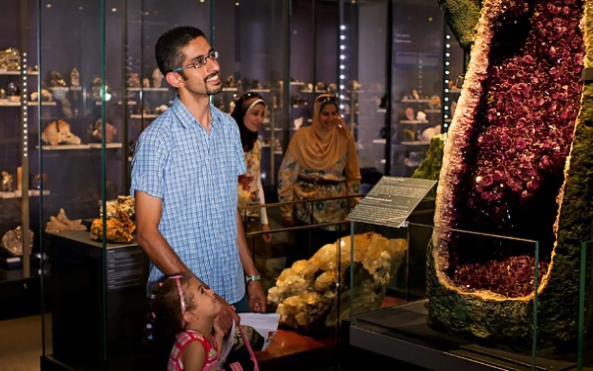 Teck Suite of Galleries: Earth's Treasures
