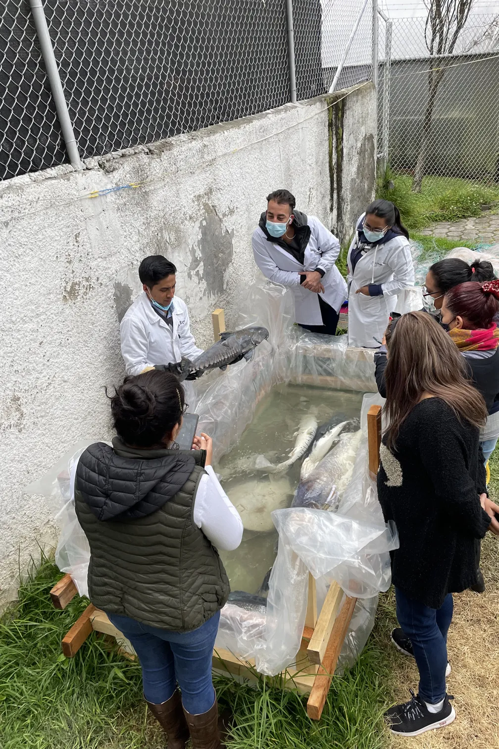 Équipe de scientifiques inspectant un poisson