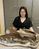 Shino Sugimoto avec un moulage de fossile de dinosaure.