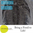 Photo d'un trilobite avec le titre "Cambrian Creatures"