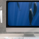 Text that says Virtual ROM and a computer with sleeping whales on the screen