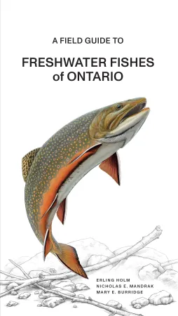 Book cover of A Field Guide to Freshwater Fishes