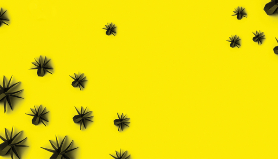 Cartoon spiders on yellow background.