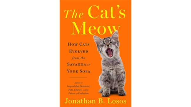 The Cat's Meow book cover