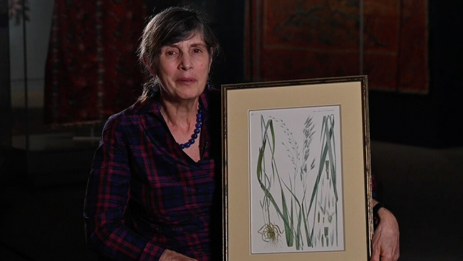 Deborah Metsger holding framed illustration of plants.