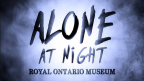 Alone at Night: Paranormal Adventures (SOLD OUT)