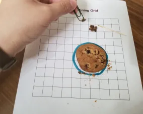 Biscuit aux pépites de chocolat sur du papier quadrillé, cure-dent sur du papier. Trombone en main, déplaçant les pépites de chocolat dans une pile séparée.