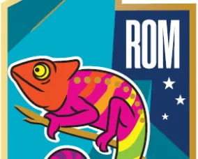 ROM Chameleon