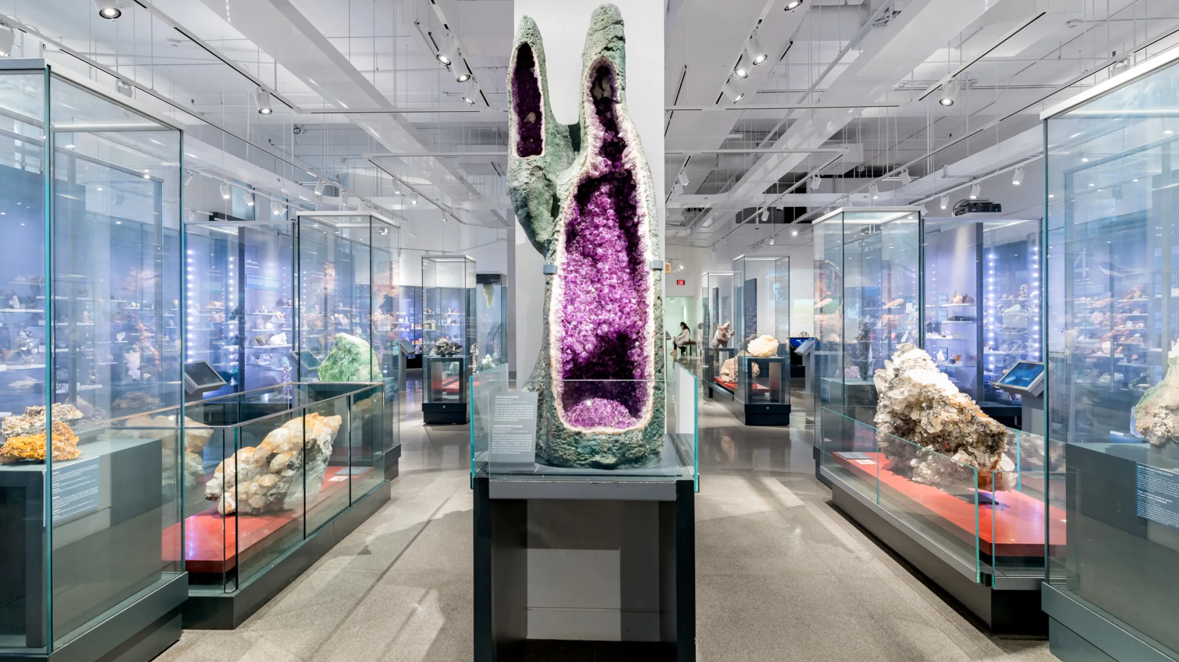 Teck Suite of Galleries: Earth's Treasures A gallery filled with minerals and gems in the centre there is a very large quartz variety amethyst geode.