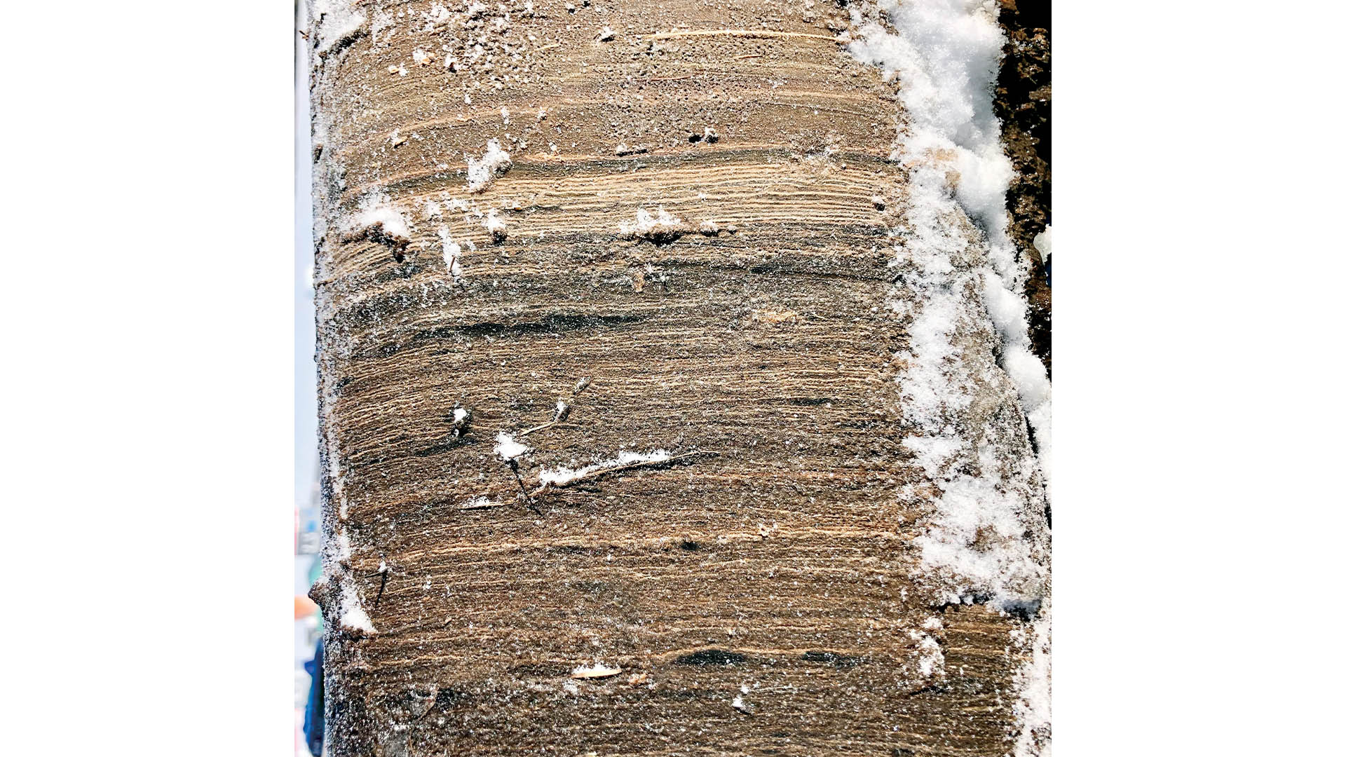 Much like the rings of a tree, the unusually detailed sediment layers show a high-resolution picture of happenings on its shores over the last 10,000 years.